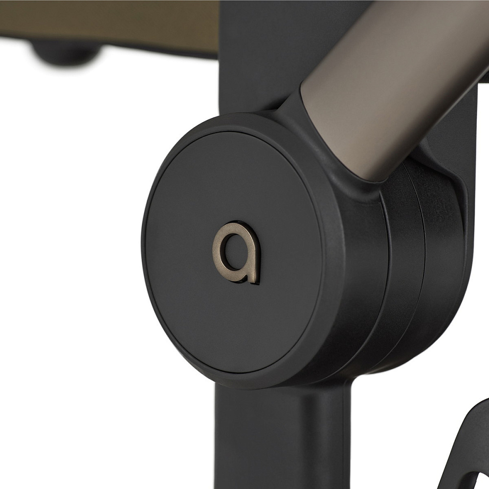 Детская коляска Anex Flo 2 в 1 Astra
