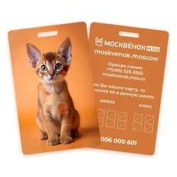 Карта Москвёнок CATS №1 (проход + питание)