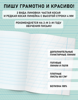 Набор тетрадей "Пишу грамотно и красиво", 12 л, 20 шт