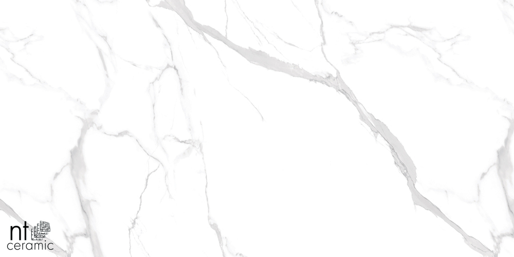 Керамогранит Statuario Ultra White NTT99512M 600*1200 полированный