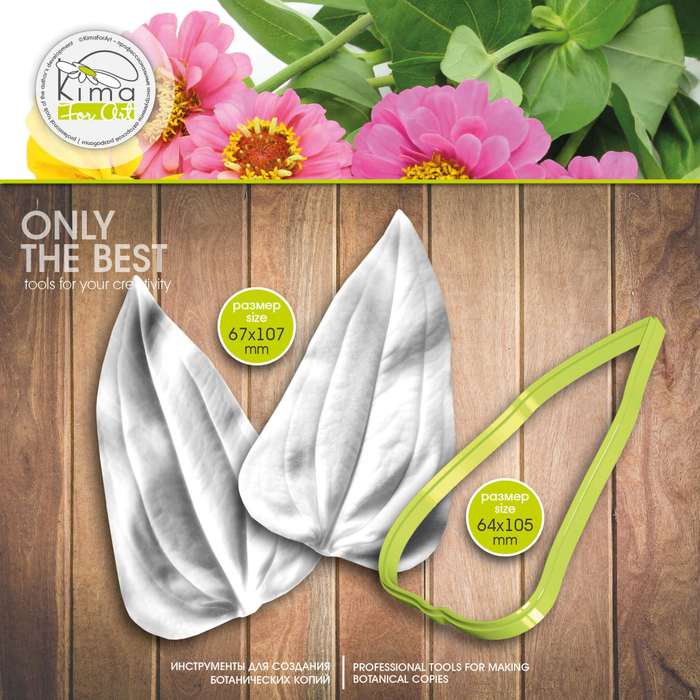 Цинния лист большой