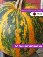 Тыква мускатная Витаминная 20шт