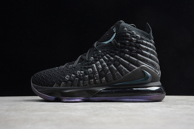Nike air max lebron 17 price discount