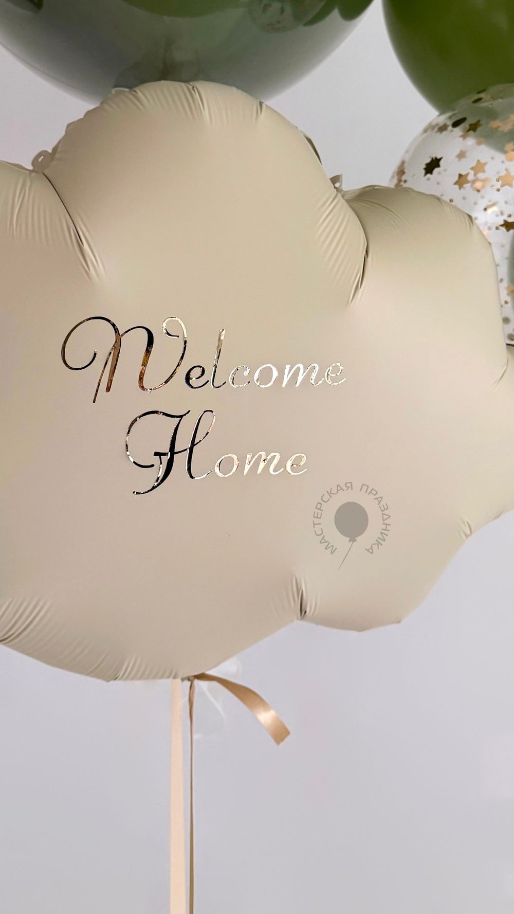 Воздушные шары на выписку мальчика №8869  Изображение3