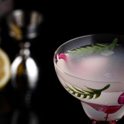 Рюмка коктейльная 365 мл "Flamingo" d 10,7 см h18 см Cocktail Week P.L. [6]