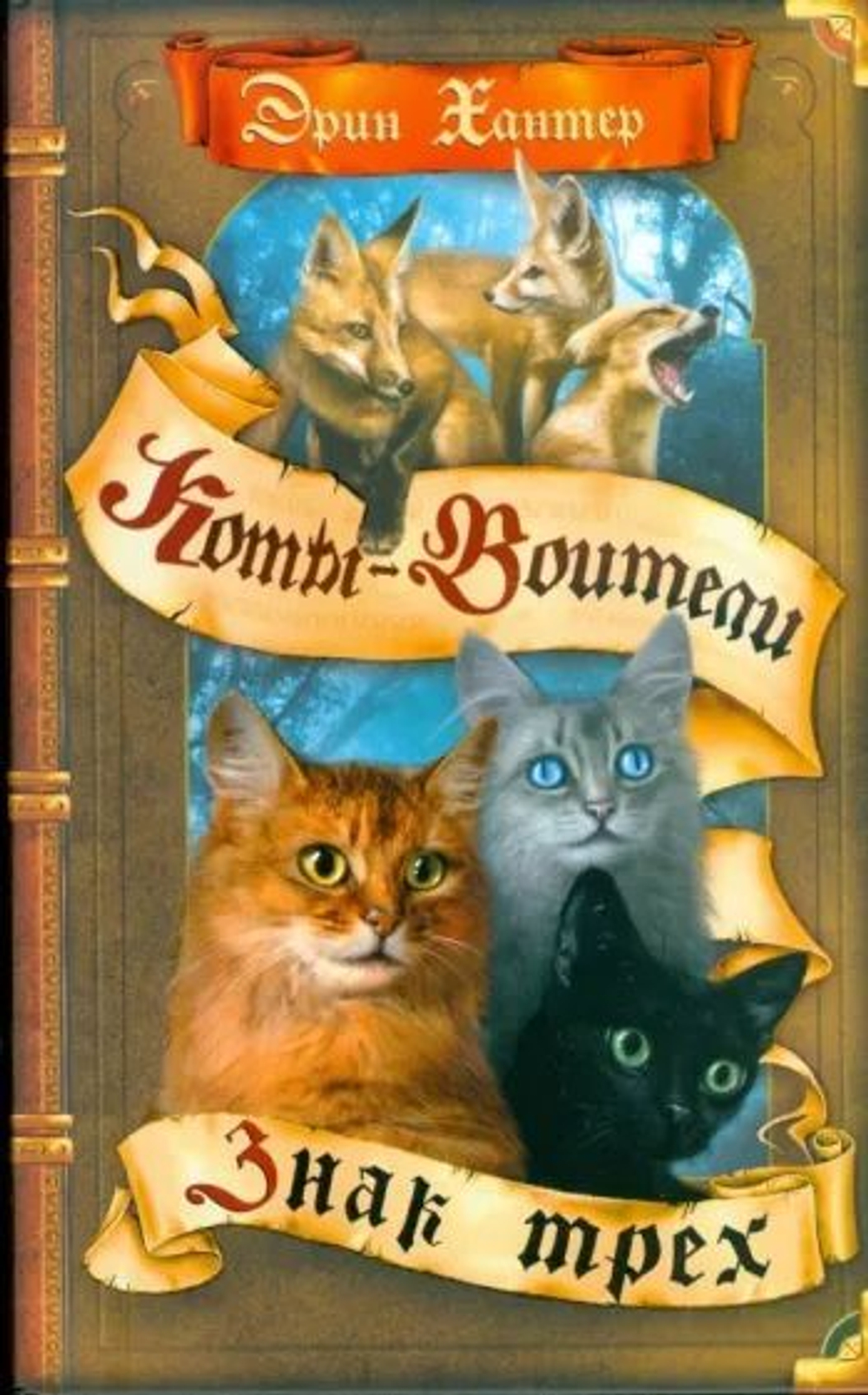 Коты-Воители. Знак трех