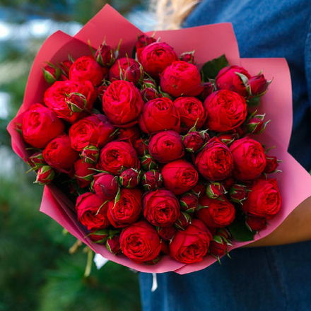 Букет из 23 пионовидных роз Red Piano