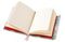 Bloknot \ Блокнот \ Notebook Sophie Adde: Two Parakeets (Foiled Journal)