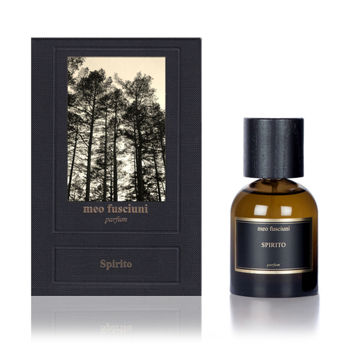MEO FUSCIUNI Spirito