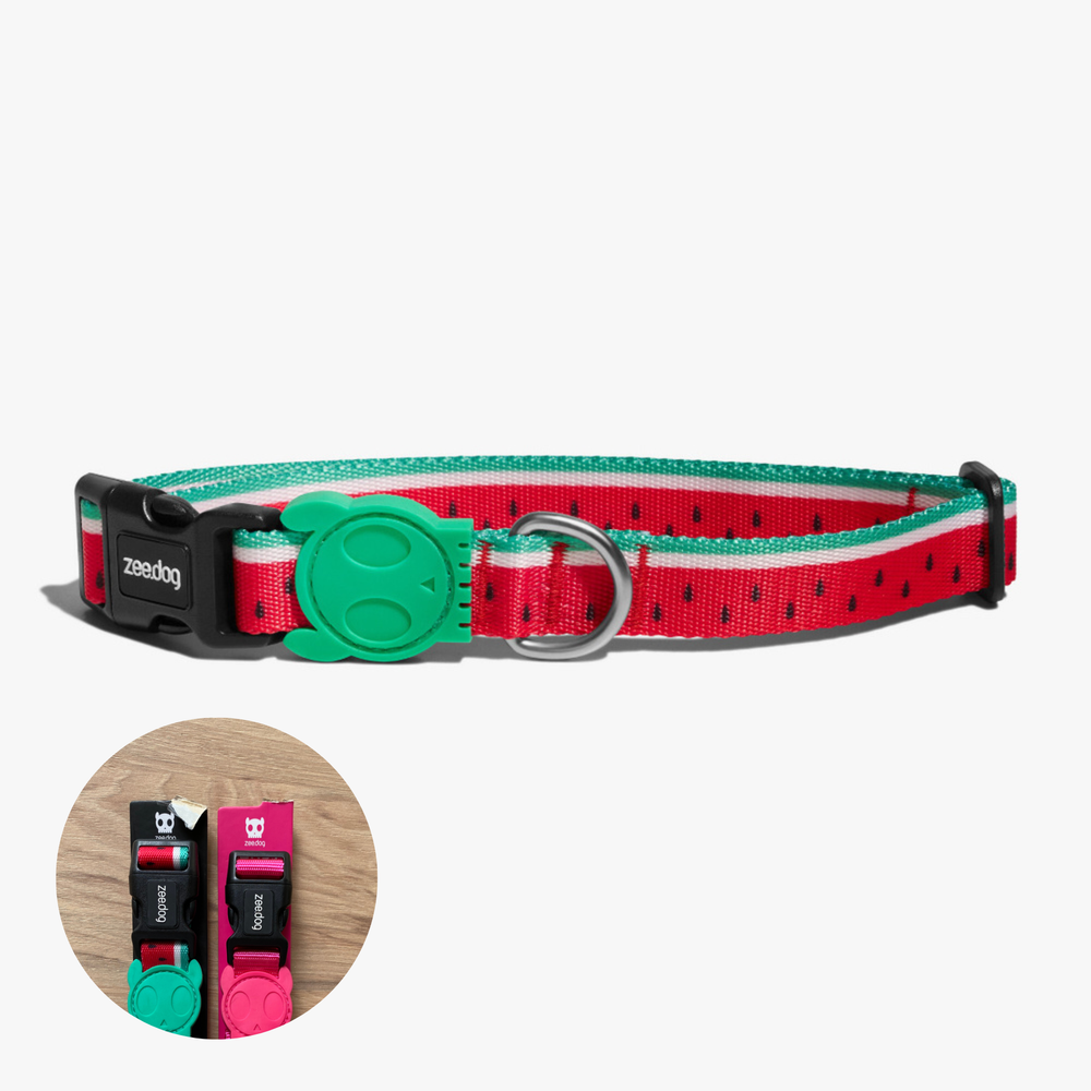 Ошейник LOLA Zee.Dog (повреждена упаковка)