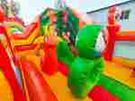 Коммерческий надувной батут «Попугайчики 2» с горкой, 5*4*2,8 м