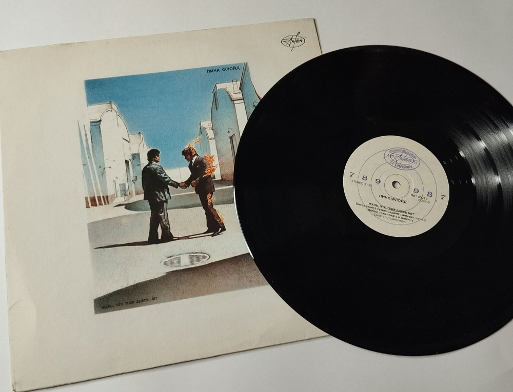 Винтажная виниловая пластинка LP Пинк Флойд Pink Floyd Жаль, Что Тебя Здесь Нет Wish You Were Here (СССР 1991)
