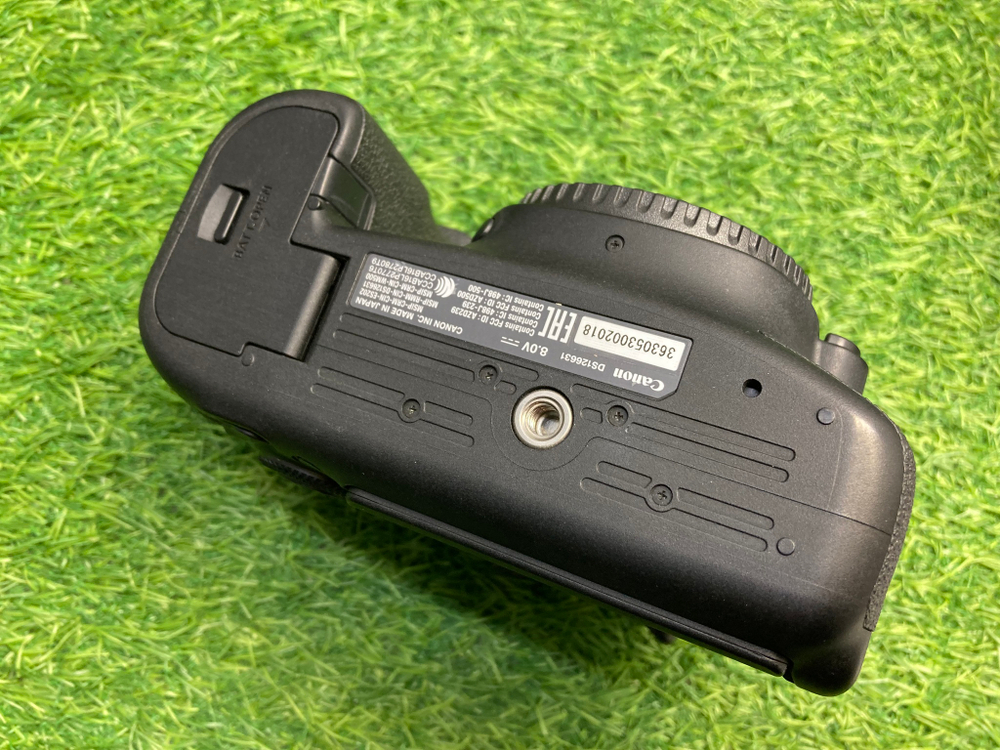 Canon EOS 6D Mark II (25.000 кадров)