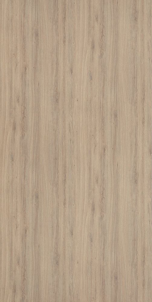 Эвкалипт Бей