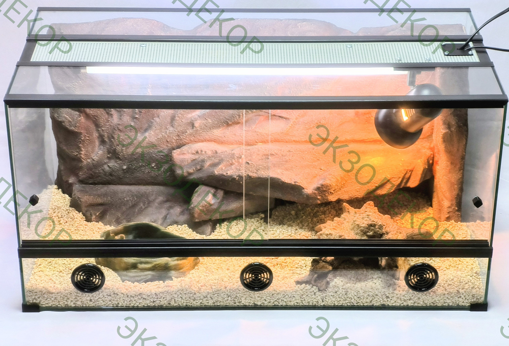 Полный комплект для Бородатой агамы. Террариум 90х50х50 и всё необходимое для содержания.