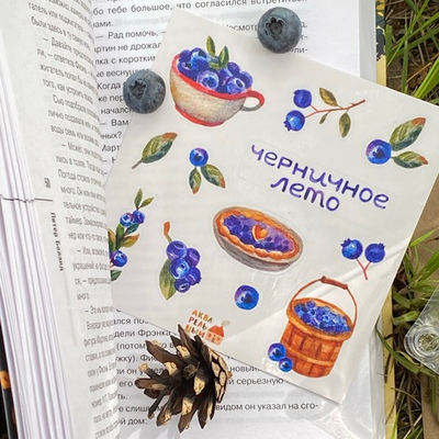 стикерпак «черничное лето»