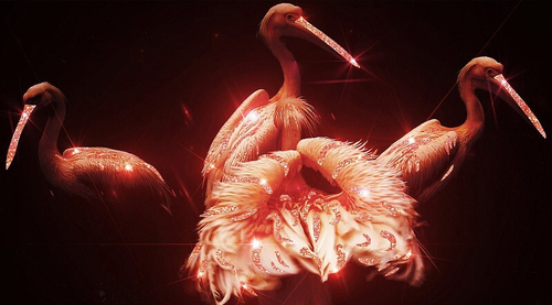 Картина РОЗОВЫЕ ПЕЛИКАНЫ