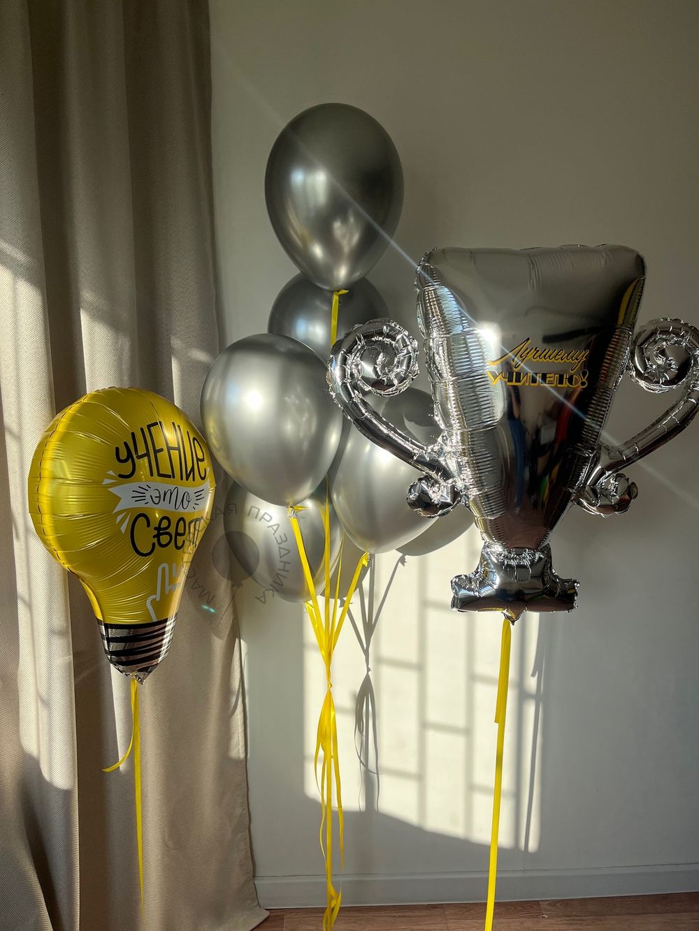 Воздушные шары "Учение - это свет" №8565  Изображение2