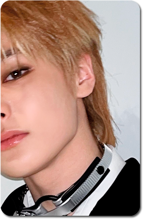 Карта / STRAY KIDS #0878