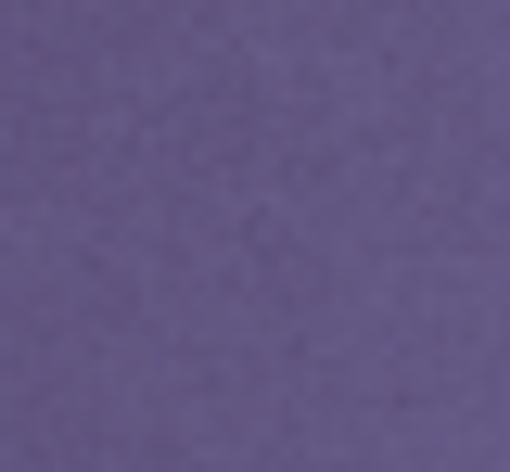 Свитшот с воротником на молнии с начесом (графит)