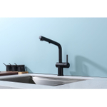 Смеситель для кухни с выдвижным изливом Raglo R86.49.06, черный