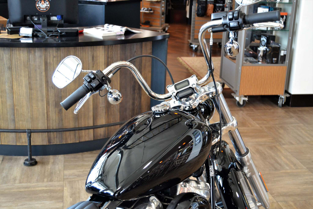 Мотоцикл Harley-Davidson Softail Standard 2022