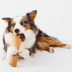 Игрушка "Палочка деревянная" - для собак (Petstages Dogwood)