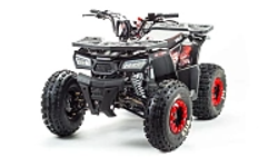 Квадроцикл PROMAX WILD 175