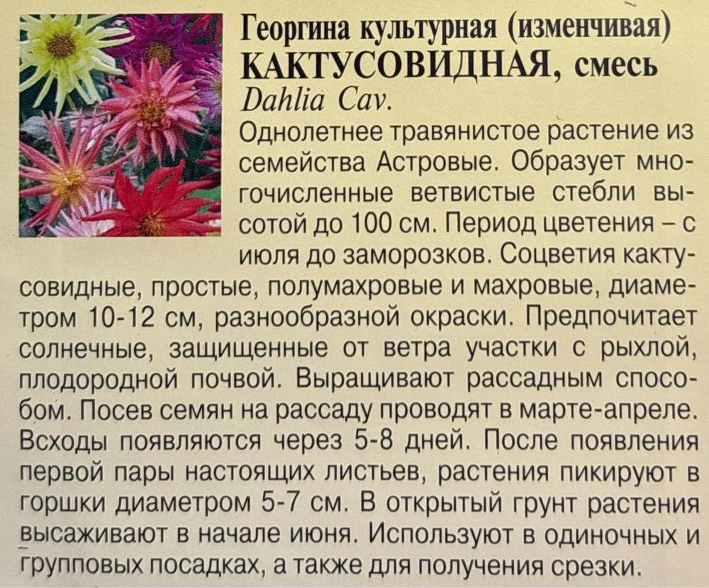 Георгина Кактусовидная, смесь 0,2 г СМЦ-266