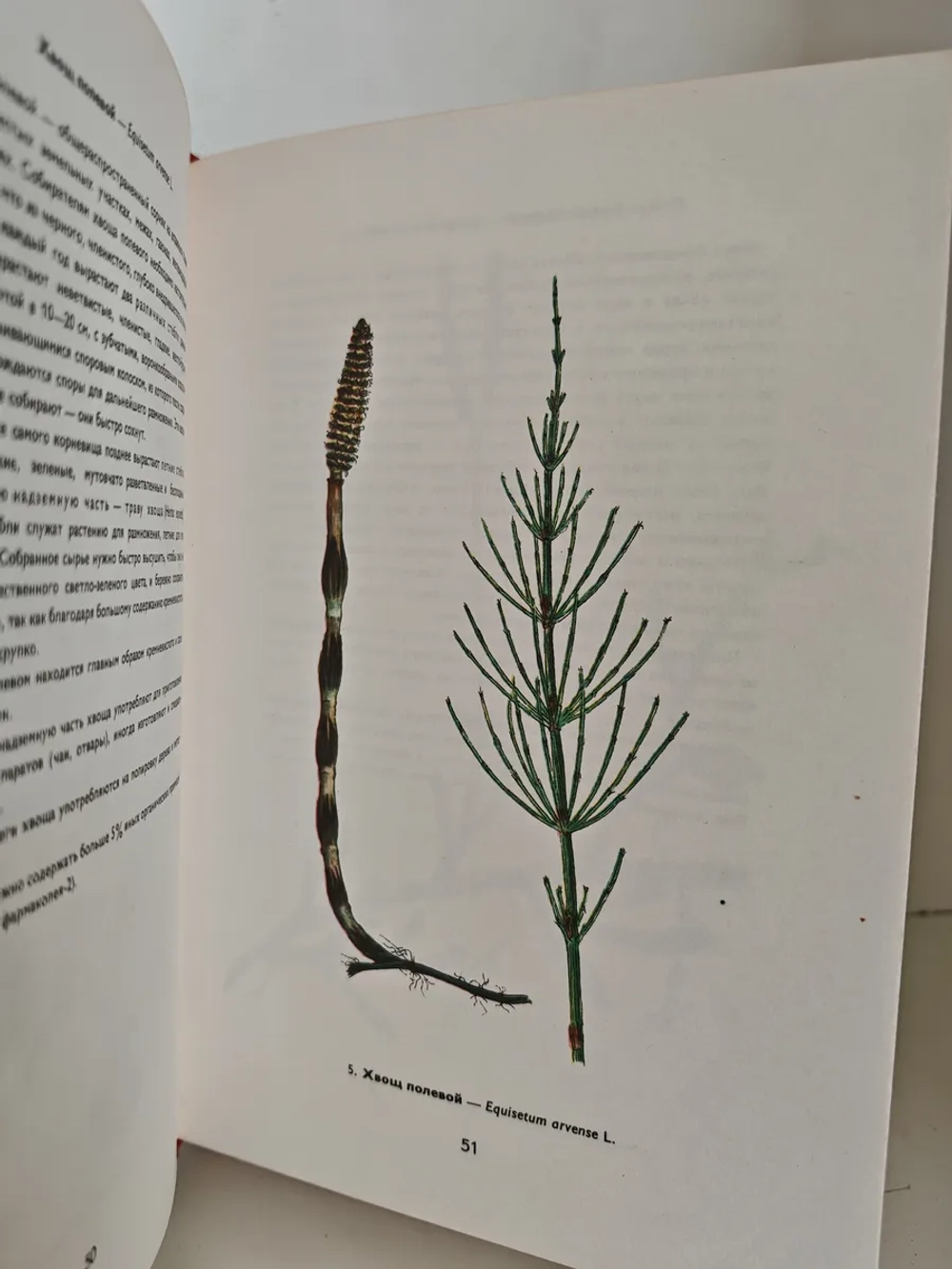 Атлас лекарственных растений