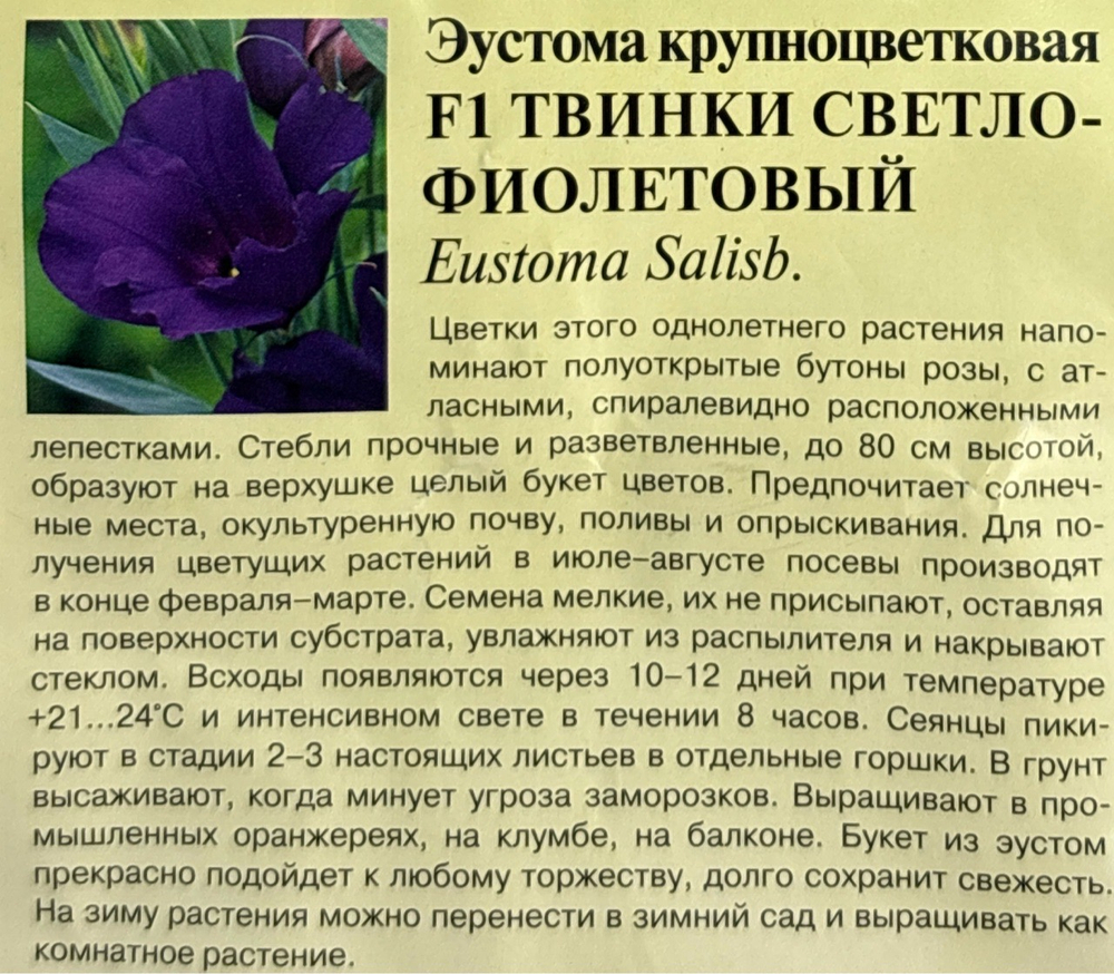 Эустома Твинки светло фиолетовый 4 шт СМЦ-344