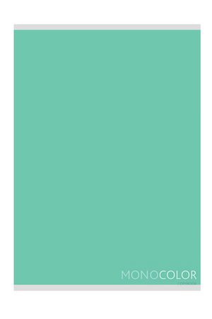 Тетрадь 80л., А4, клетка "Моноколор. Pale color (green)