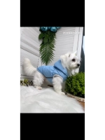 Утепленный жилет для собак и кошек