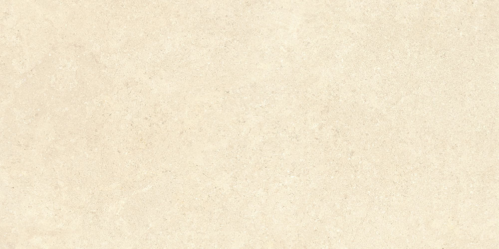 60х120 SandStone Песочный Матовый R10A Ректификат