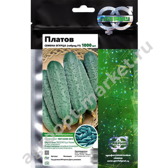 Платов F1 семена огурца партенокарпического (Гавриш) – фото 3