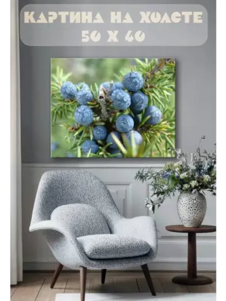 Картина на стену 40 X 50 Ягоды можжевельника