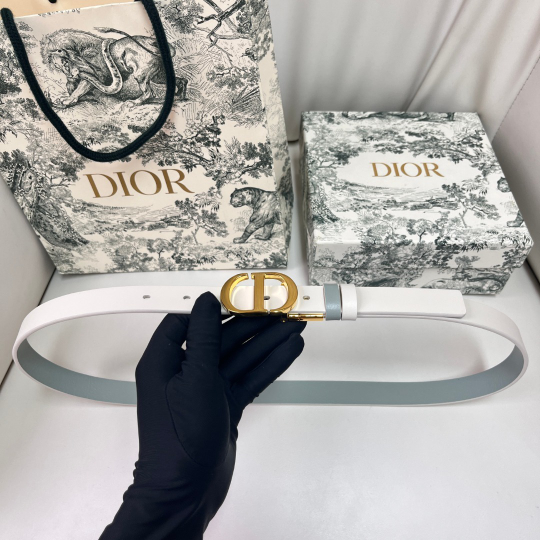 Christian Dior Reversible Belt