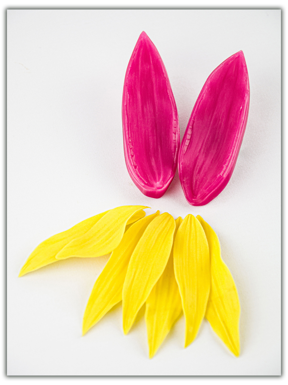 Лепестки подсолнуха