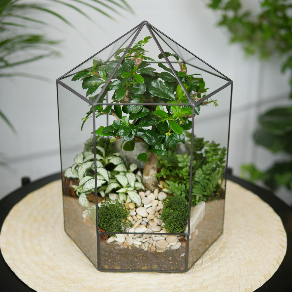 Флорариум бонсай Хижина