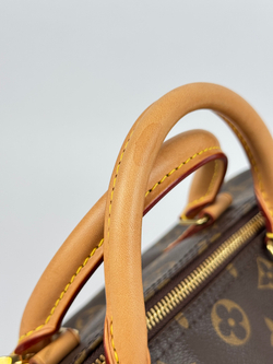 Сумка Louis Vuitton Speedy 30