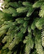 Ель искусственная «Юлия» (Литая хвоя) от 1,2 м до 3 м