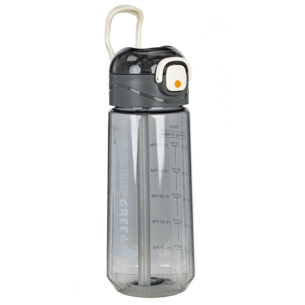 GAEM Бутылка, 590 мл, L7,5 W8 H20 см, 4в.