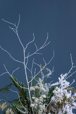 Композиция в бетонном кашпо белая