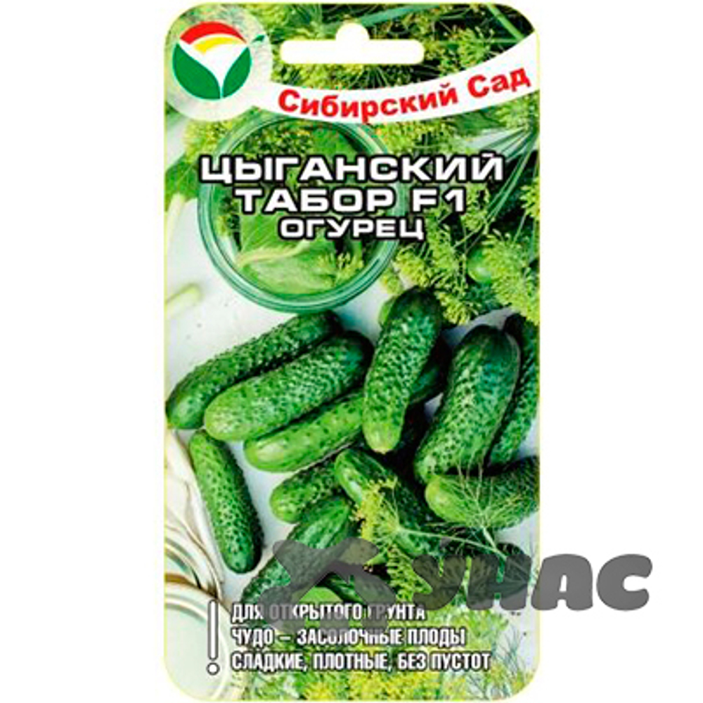 Огурец Цыганский табор СибСад Ц