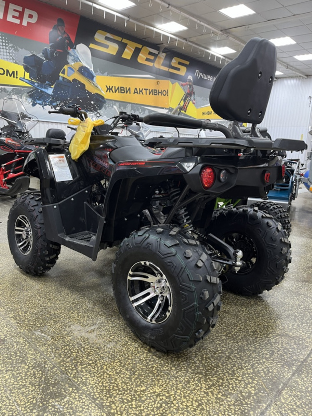 Квадроцикл PROMAX RENEGADE 280 LONG WINCH PRO (2025)