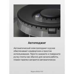 Газовая панель Hansa BHGI611391