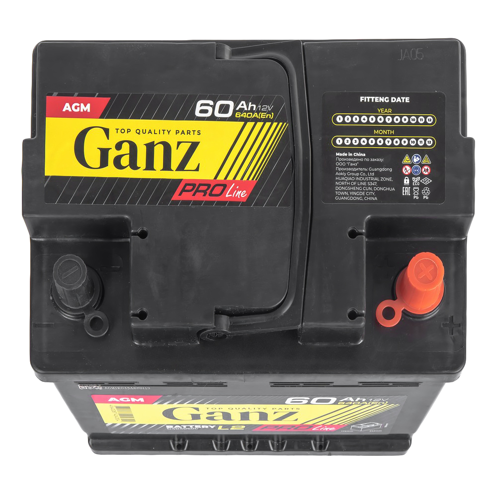 Аккумулятор GANZ PRO-Line AGM 60 А/ч обратный R+ 242x175x190 L2 EN 640 А