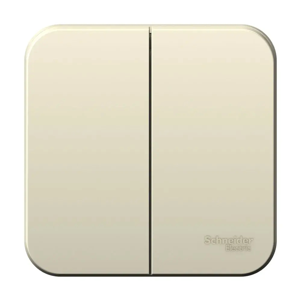 BLANCA О/У 2-клавишный ВЫКЛЮЧАТЕЛЬ (сх.5), 6А, 250В, МОЛОЧНЫЙ