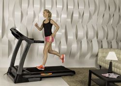 Proxima Persona Pulse