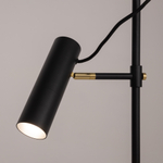 Напольный светильник (торшер) Maytoni MOD129FL-01B